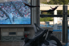 thumbs/seaworld 136.png